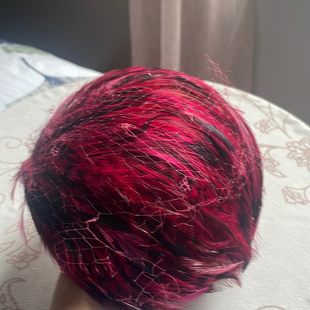Vintage Feather Hat